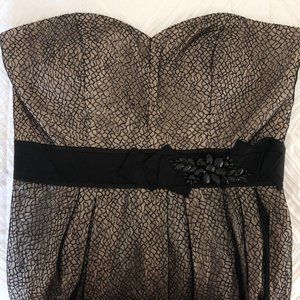 NWT Max & Cleo Dress with Gold and Black Detail